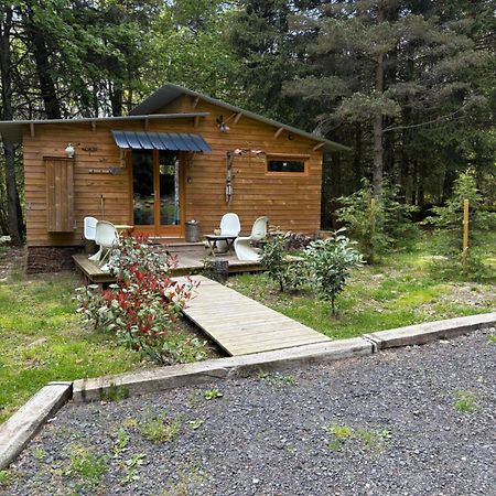 Chalet Libellule Domaine De La Mamounette Champclause المظهر الخارجي الصورة