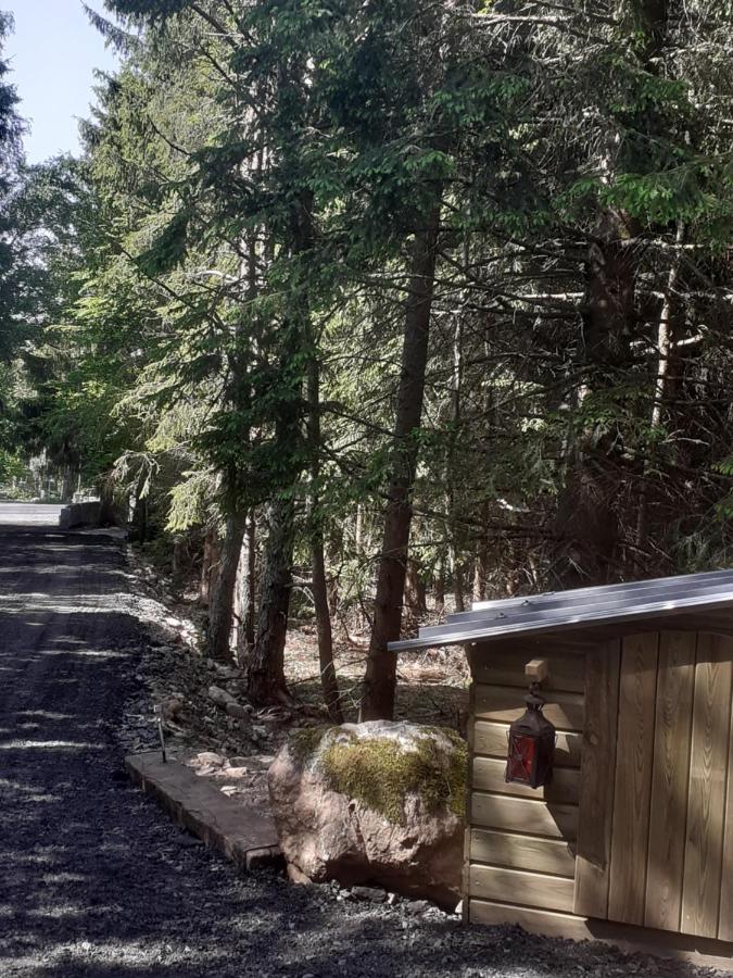 Chalet Libellule Domaine De La Mamounette Champclause المظهر الخارجي الصورة