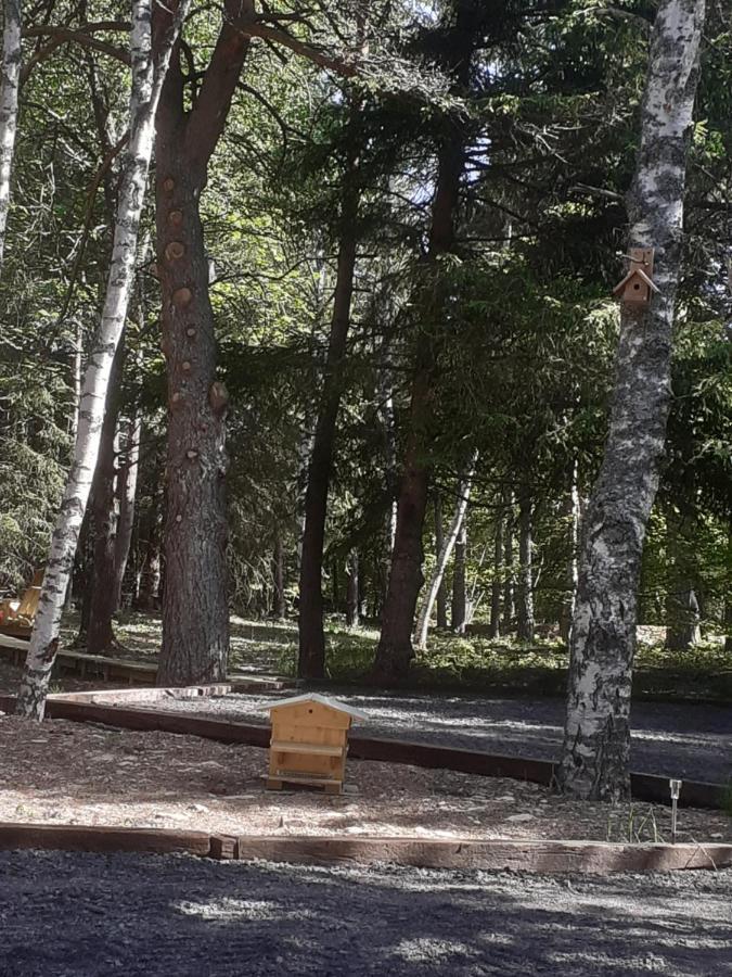 Chalet Libellule Domaine De La Mamounette Champclause المظهر الخارجي الصورة