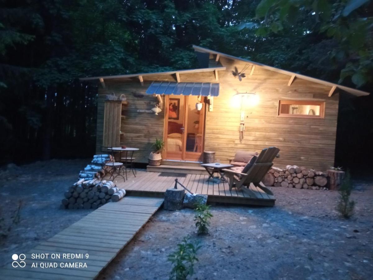 Chalet Libellule Domaine De La Mamounette Champclause المظهر الخارجي الصورة