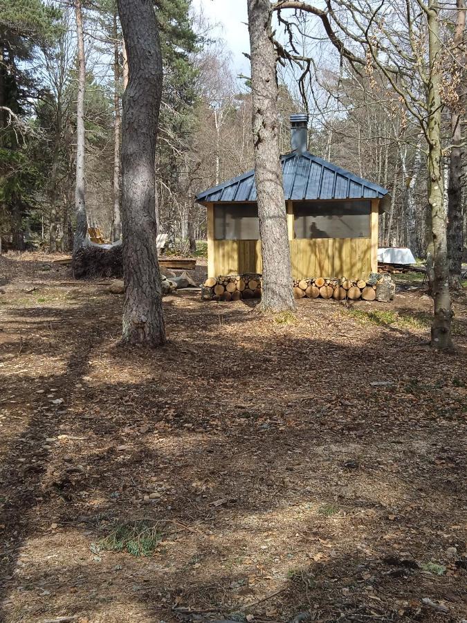 Chalet Libellule Domaine De La Mamounette Champclause المظهر الخارجي الصورة